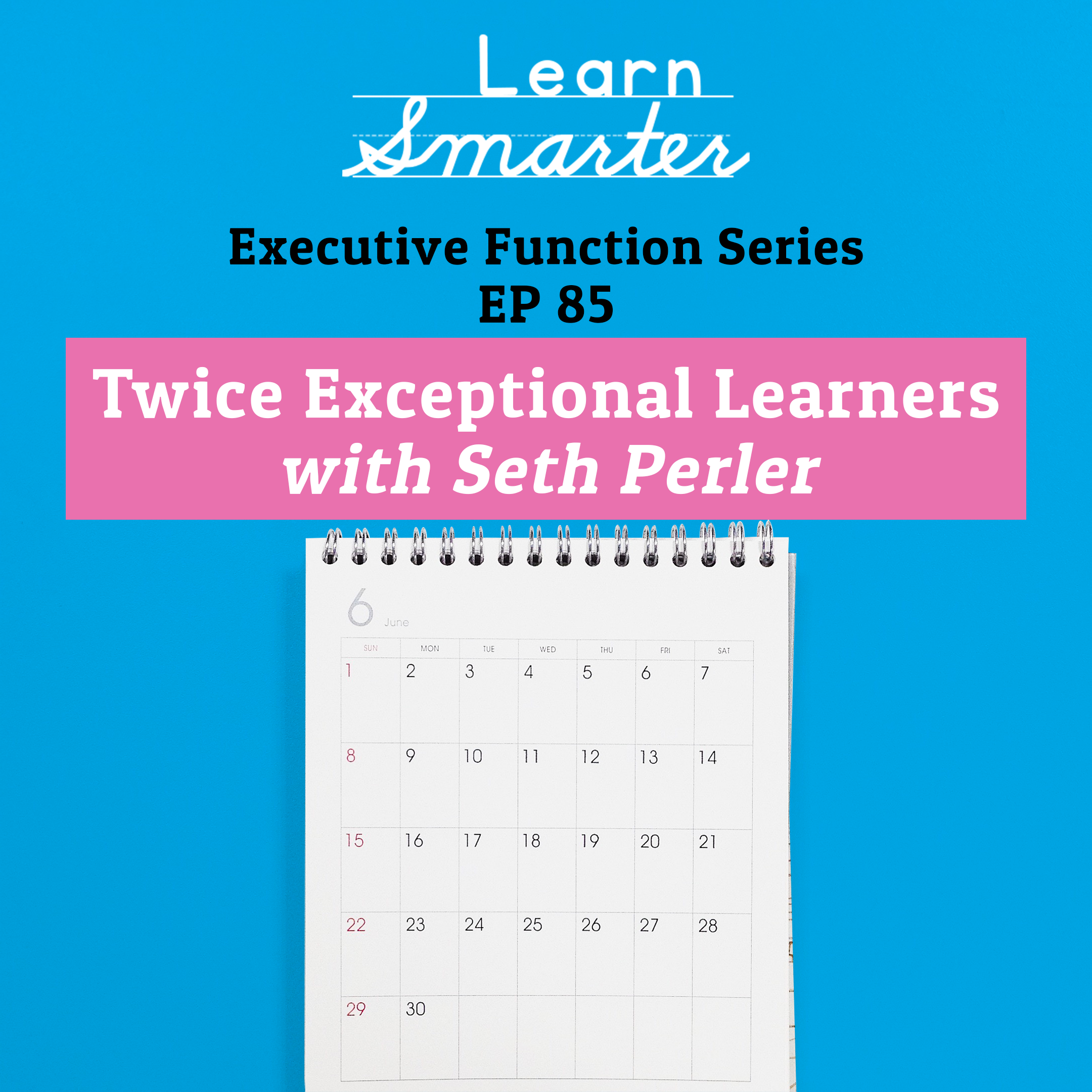 85: Twice Exceptional Learners with Seth Perler (Executive Function Series)