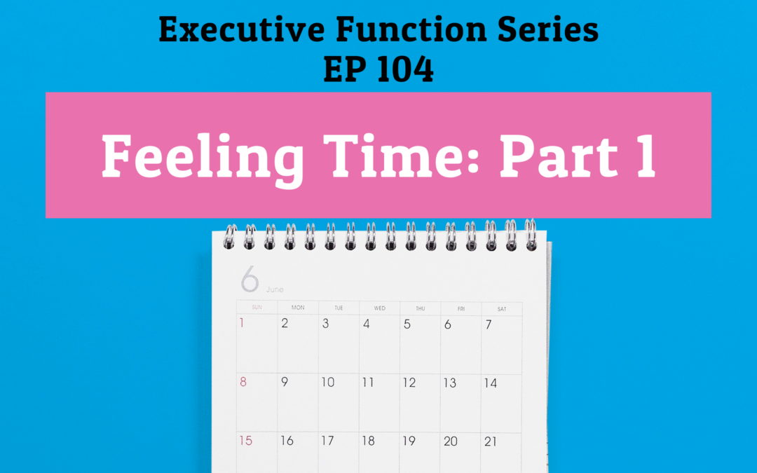 104: Feeling Time: Part 1 (Executive Function Series)