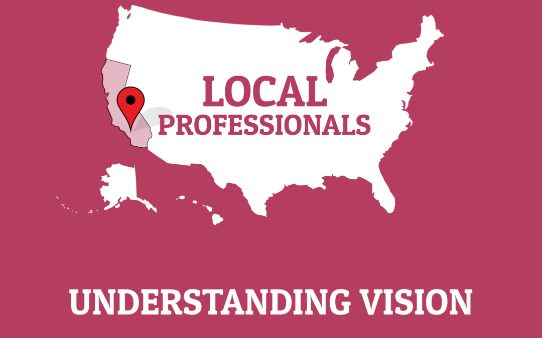127: Understanding Vision with Developmental Optometrist Dr. Elise Brisco (Local Professionals Series)