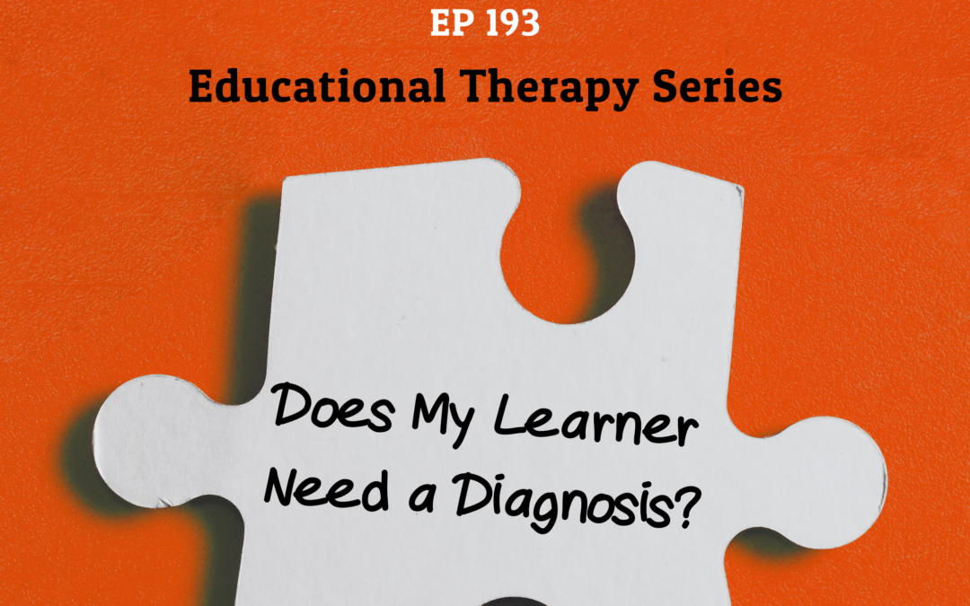 193: Does My Learner Need a Diagnosis? (Educational Therapy Series)