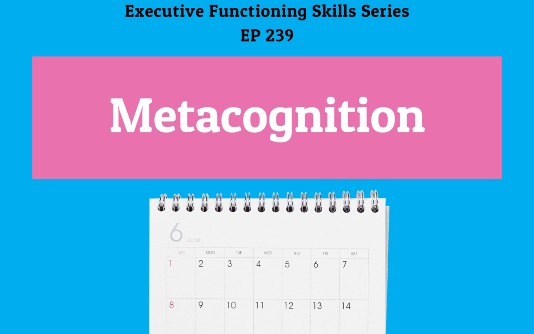 239: Metacognition (Executive Functioning Series)
