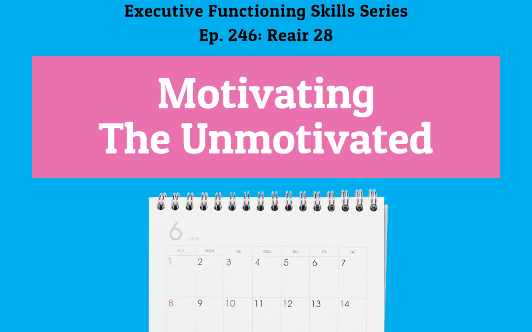 246: Reair 28 – Motivating the Unmotivated