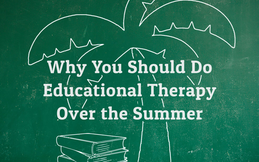 258: Re-Air: Why You Should Do Educational Therapy Over the Summer