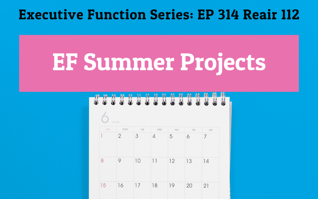 314: REAIR Episode 112: EF Summer Projects