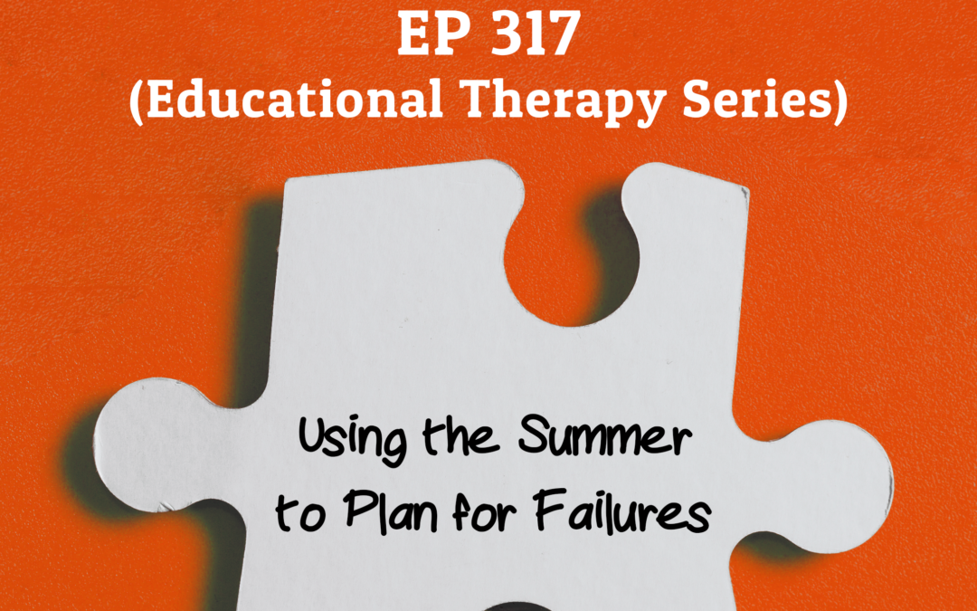 317: Using the Summer to Plan for Failures (Educational Therapy Series)