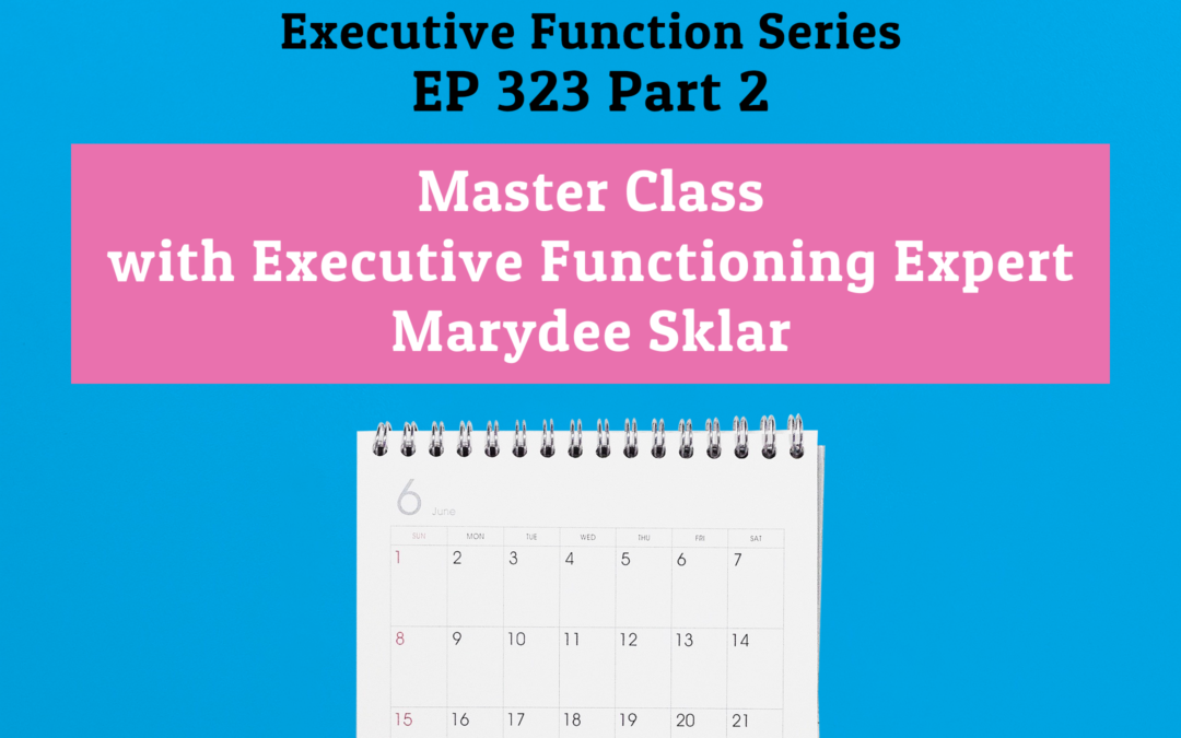 323: Master Class with Executive Functioning Expert Marydee Sklar (Part 2)