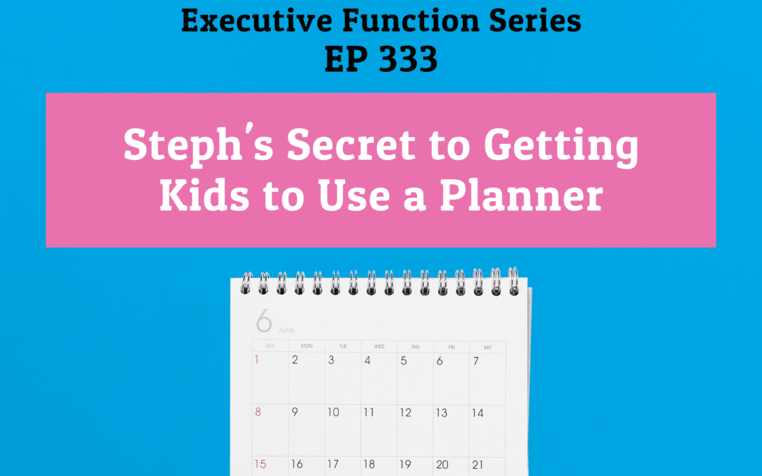 333: Steph’s Secret to Getting Kids to Use a Planner (Executive Functioning Series)